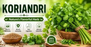 Koriandri: Health Benefits, Uses & Complete Guide